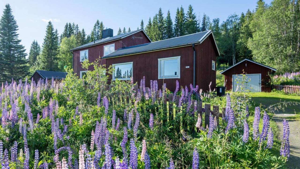 The Bear'S Den Villa Hakafot Exterior photo